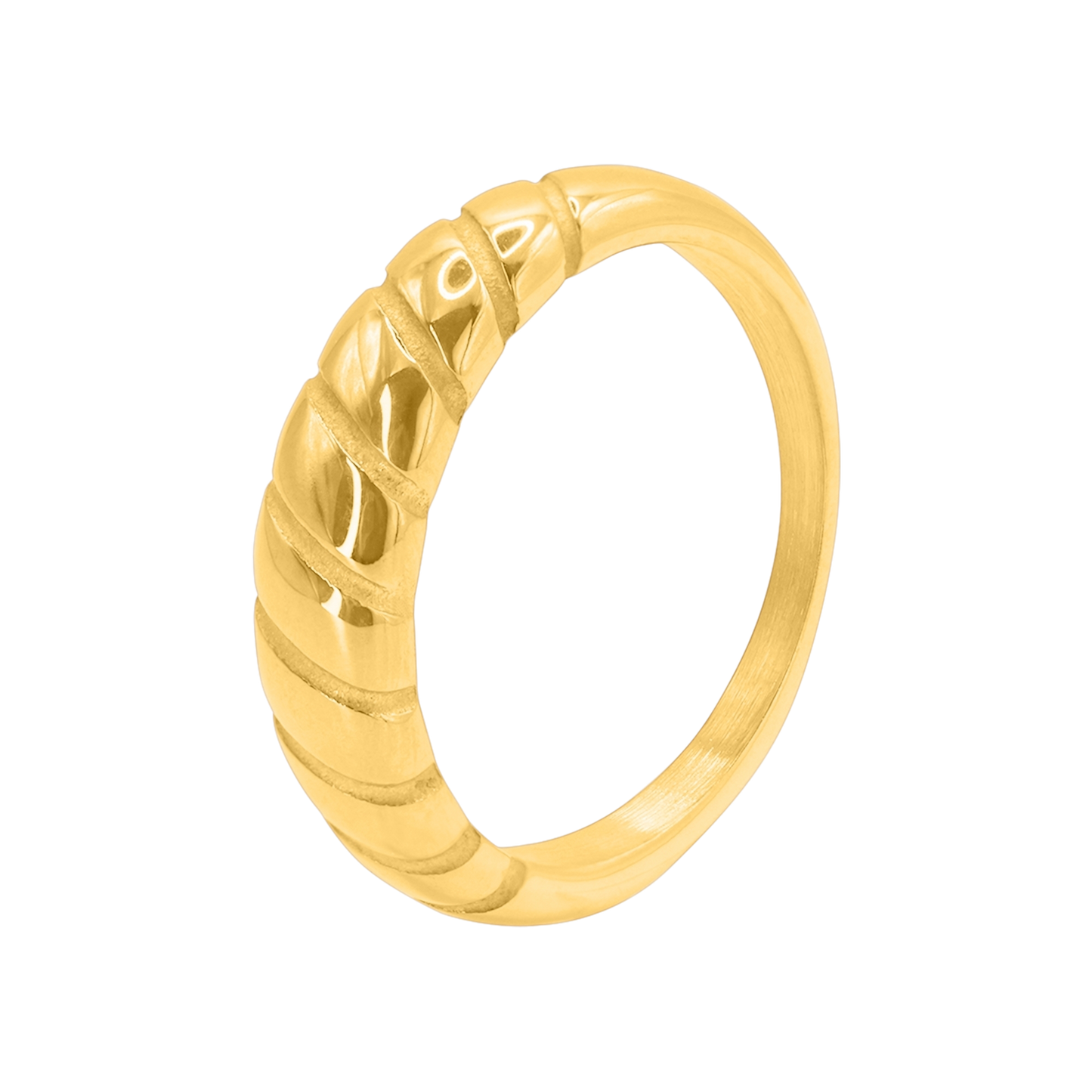 Ring Naso