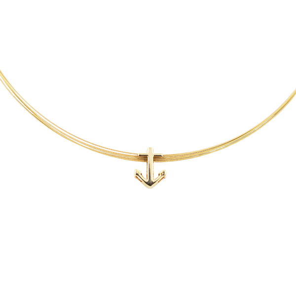 Charm Anker