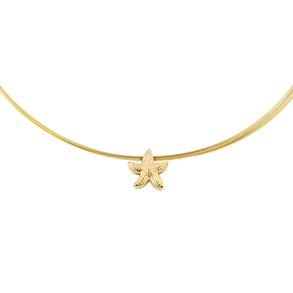 Charm Seestern