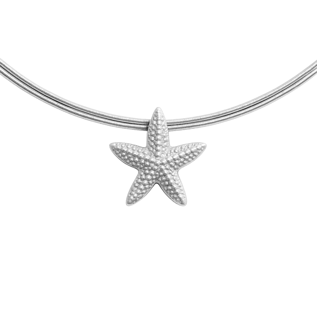Charm Seestern
