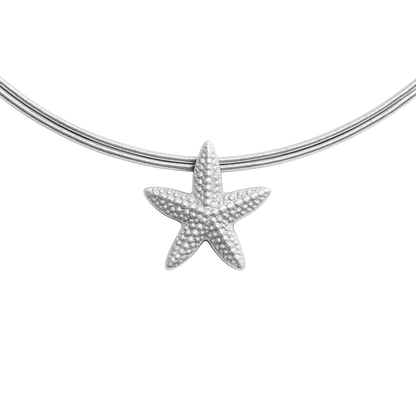 Charm Seestern
