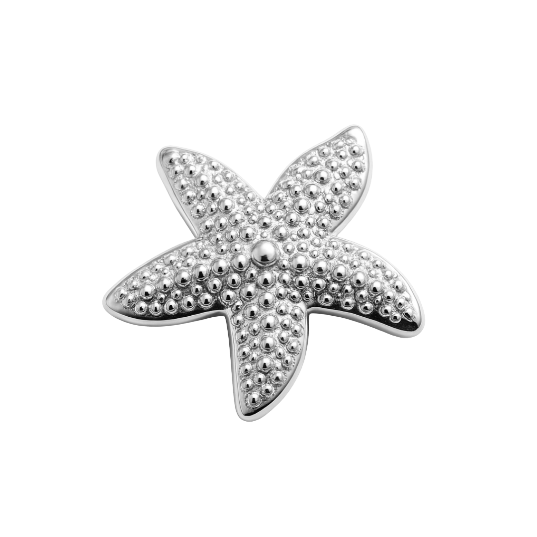 Charm Seestern