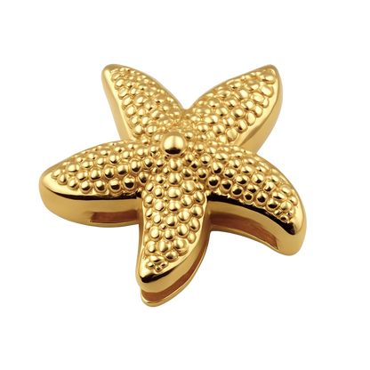 Charm Seestern