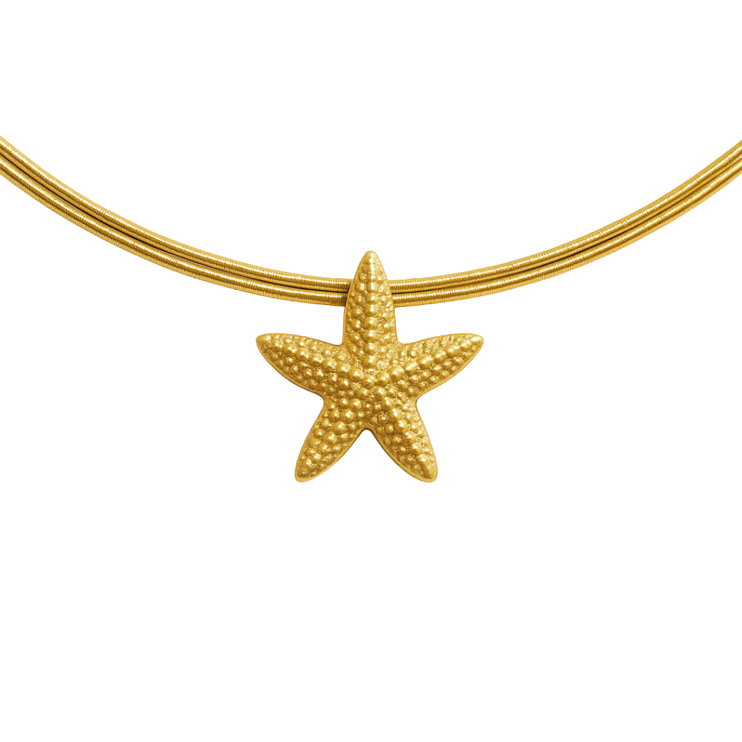 Charm Seestern