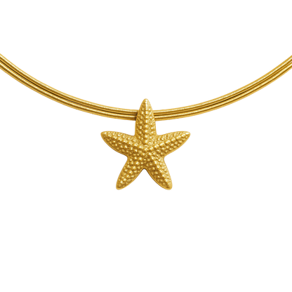 Charm Seestern