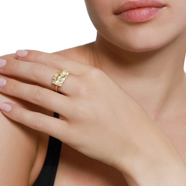 Ring Partis S