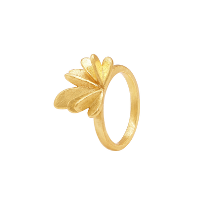 Ring Nieke