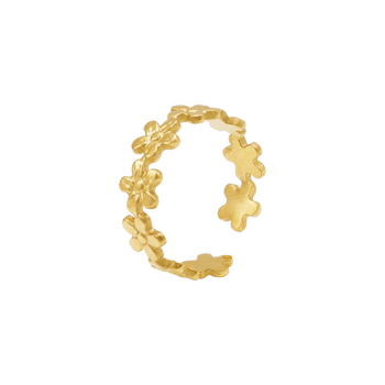 Ring Alira