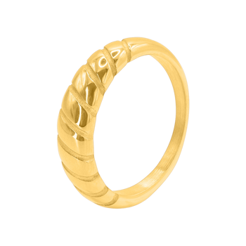 Ring Naso