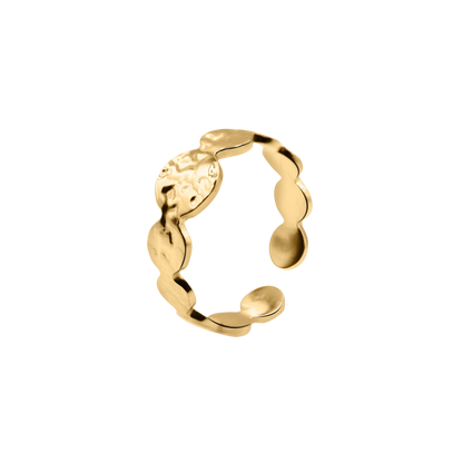 Ring Nerina