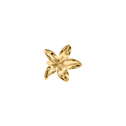 Ring Manami