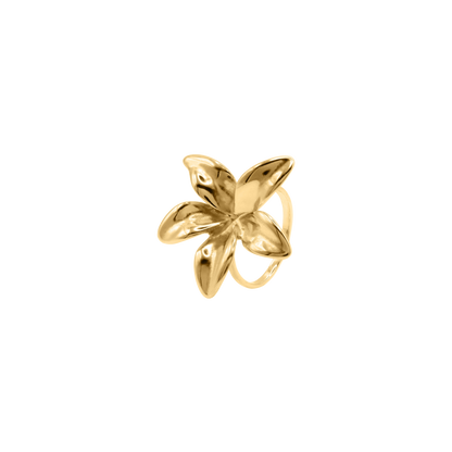 Ring Manami