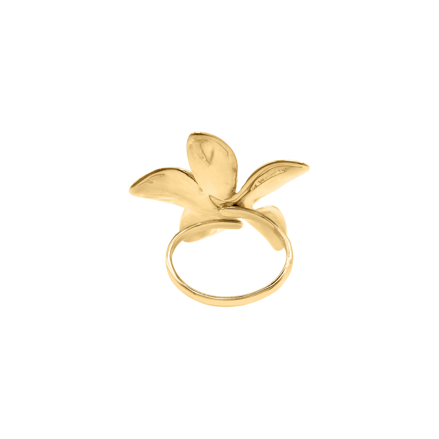 Ring Manami