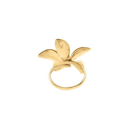 Ring Manami