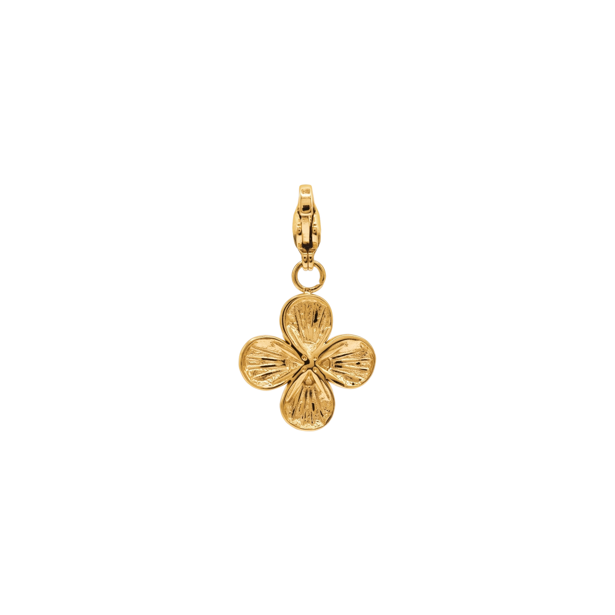 Charm Damen Edelstahl Jonida in Gold mit Maßangaben